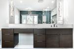 Mold Removal Services