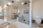 Mold Removal Services