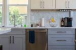 Mold Removal Services
