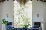 Mold Removal Services